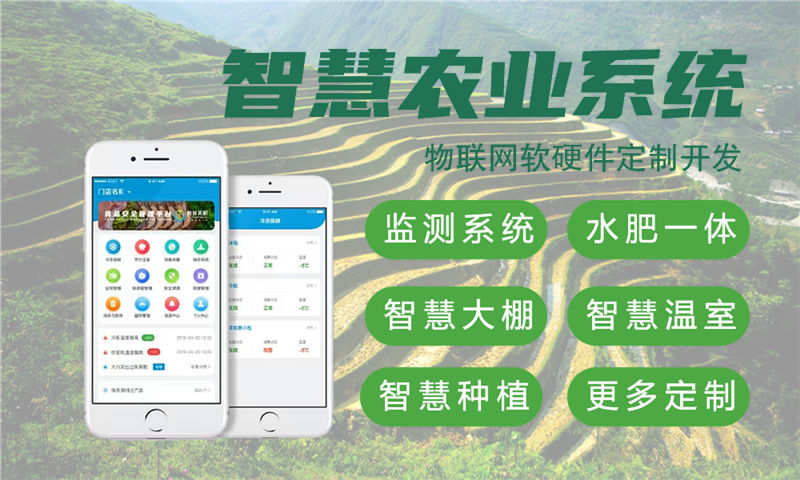 东莞物联网开发：嵌入式工程师如何助力企业解决智能硬件研发难题