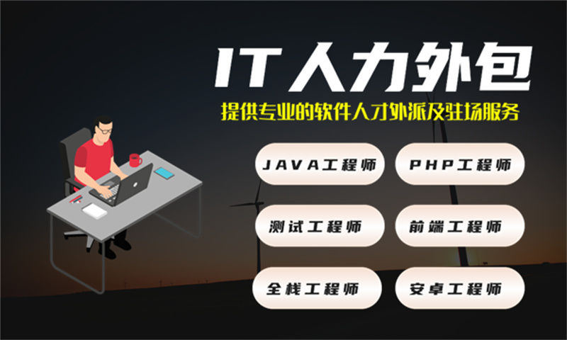 上海IT人力外包：技术外派与自聘员工对比，助力企业高效解决人才缺口