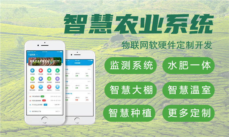 上海物联网开发难题如何破解？嵌入式音视频开发助力企业高效转型