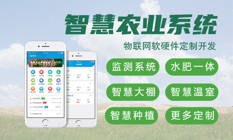 佛山Raspberry Pi开发：物联网智能硬件解决方案助力企业高效转型