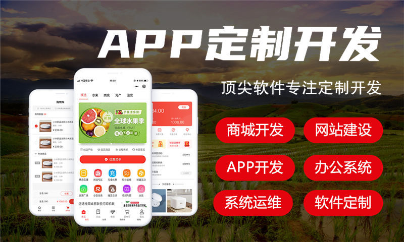 郑州十三星创客商城开发软件：助力企业数字化转型的高效解决方案