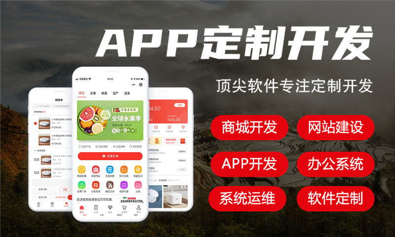 福州大风车商城系统定制开发（小程序，软件）开发解决方案助力企业数字化转型