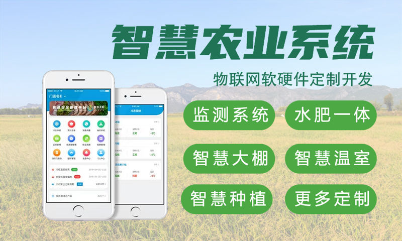 济南Raspberry Pi开发解决方案：物联网智能硬件开发的高效选择