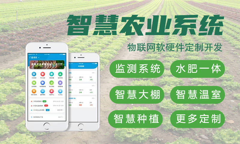 宁波物联网开发解决方案：嵌入式项目开发如何助力企业实现智能硬件产品快速落地