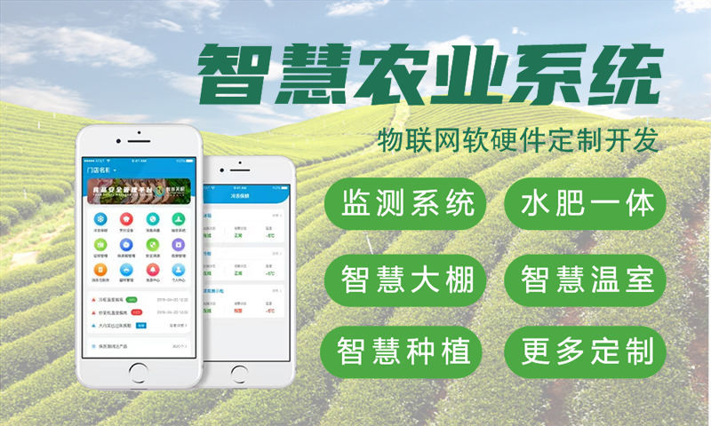 青岛智能硬件开发如何破解企业研发困局？单片机定制方案助力高效量产