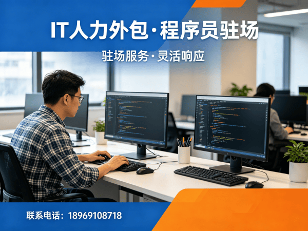 武汉IT企业技术人力外包驻场解决方案：解决招聘痛点的高效选择